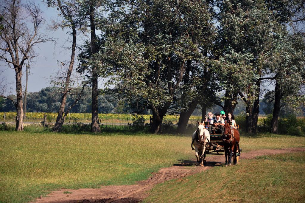 Estancia Don Silvano Guest House Diego Gaynor Luaran gambar